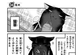38화 ３４缶め 표지
