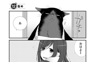 13화 １２缶め 표지