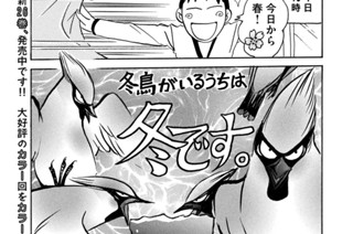 第７２３羽 표지