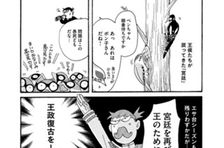 第５２９羽 표지