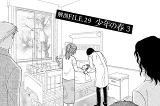 解剖ＦＩＬＥ．２９ 少年の春 ３ 표지