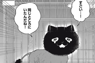 第２８話 再びよせあつめ 표지