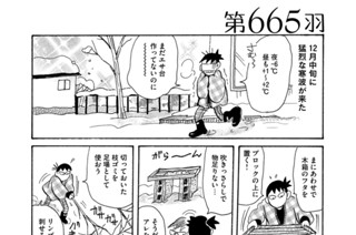第６６５羽 표지
