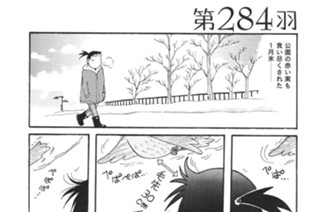 第２８４羽 표지
