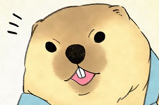 第１５話 コアラの親子 표지