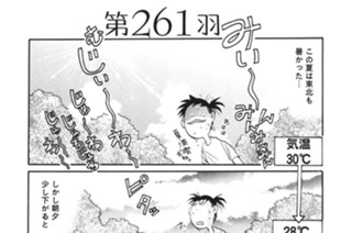 第２６１羽 표지