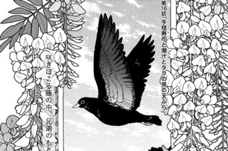 第十六話 手毬寿司と潮汁とタラの芽の天ぷら 표지