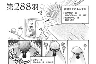 第２８８羽 표지