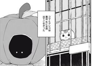 第３２話 アメリの陽だまり 표지