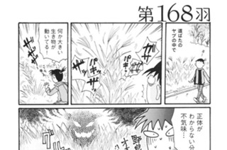 第１６８羽 표지