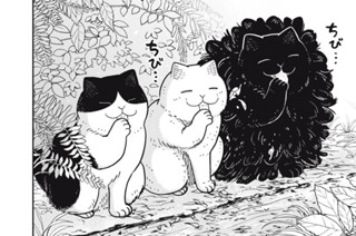 第８話 春が来た 표지
