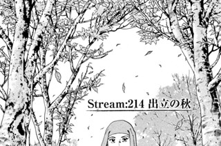Ｓｔｒｅａｍ：２１４ 出立の秋 표지