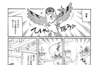 第１５６羽 표지