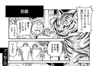 プ〜ねこ（１２３） 防壁 표지