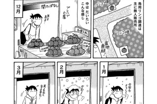 第７３２羽 표지