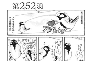 第２５２羽 표지