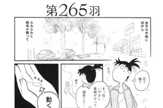 第２６５羽 표지