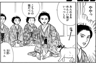 その２０８ 표지