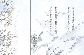春と嘯く 표지