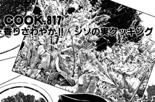香りさわやか!! シソの実クッキング 표지