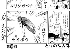 第７８９羽 표지