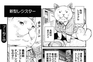 プ〜ねこ（２９） 표지