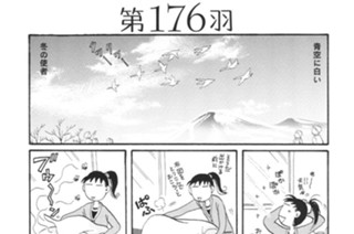 第１７６羽 표지