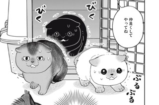 第４９話 一時休戦 표지