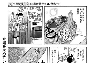 第８８９羽 표지