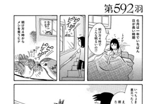 第５９２羽 표지