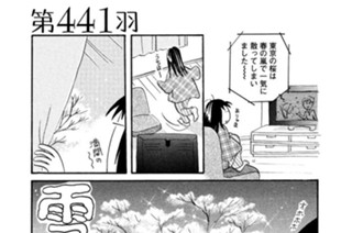 第４４１羽 표지