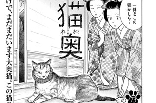 その７３ 표지