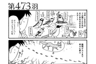 第４７３羽 표지