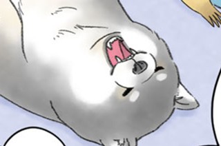 第１７話 ムギの暑い夏 표지