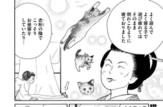 その５１ 표지