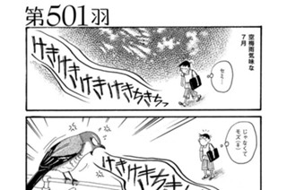 第５０１羽 표지