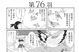 第７６羽 표지