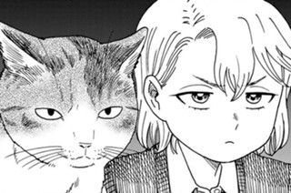 11화 ７限目② 青猫アミーゴ 표지