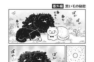 23화 番外編12 표지