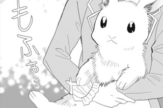 第六話 うさぎの上り坂① 표지