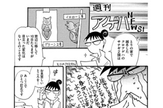第４９１羽 표지