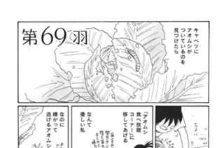 第６９羽 표지