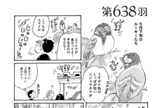 第６３８羽 표지