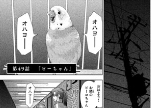 第４９話 「ピーちゃん」 표지