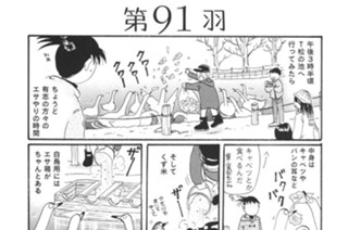 第９１羽 표지