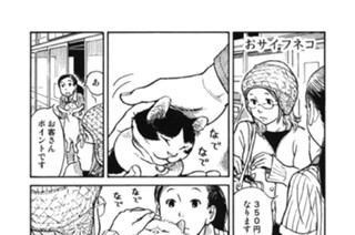 プ〜ねこ（８２） 표지