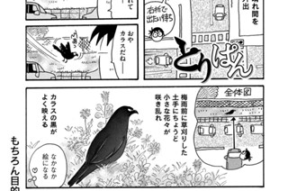 第７３８羽 표지