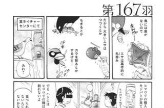 第１６７羽 표지