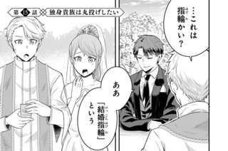 第１５話 独身貴族は丸投げしたい 표지
