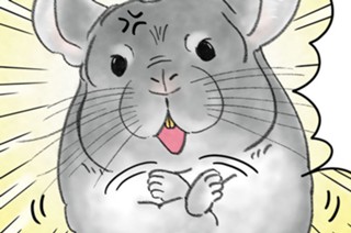第２１話 チンチラちゃんの主張 표지